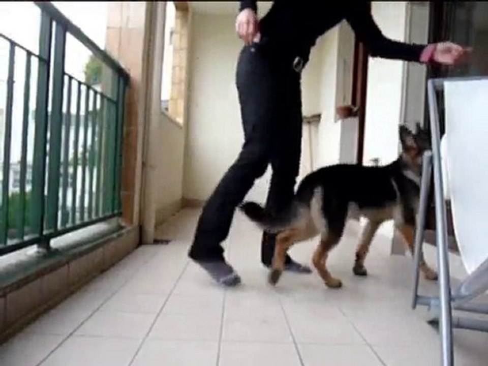 Elou apprend le pas espagnol !