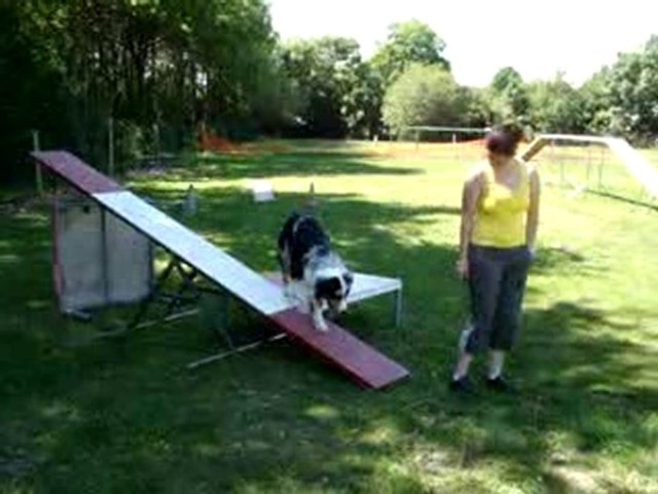 MOV03170