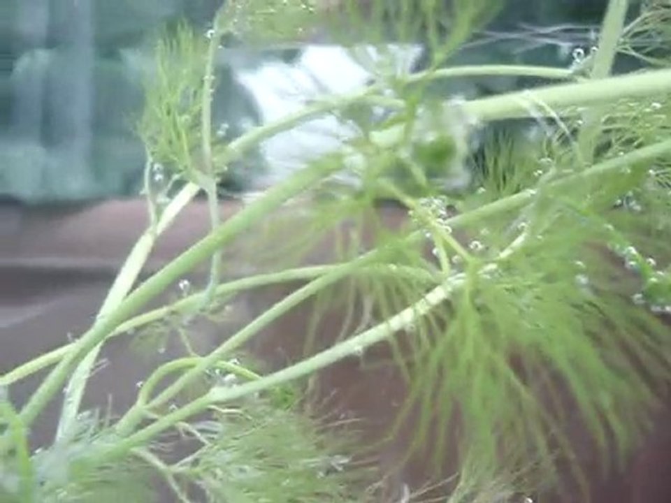 MOV03571