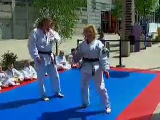 demo karaté Toys'r us