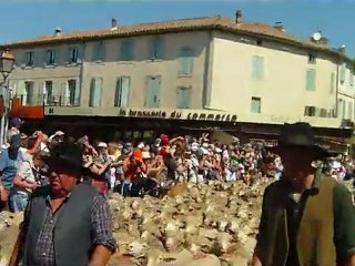La Fête de la TRANSHUMANCE à Saint-Rémy-de-Provence