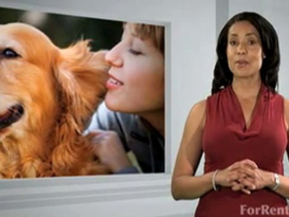 Five Tips to Consider Before Getting a Dog - ForRent.com