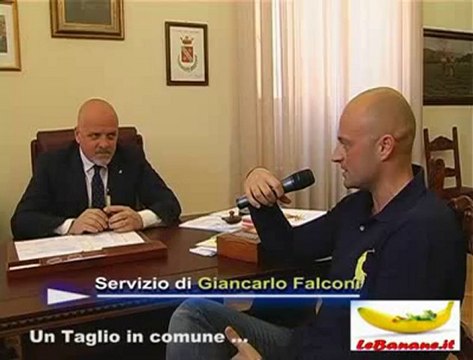 116 - Un taglio in comune nella città di Teramo (2010-05_29)