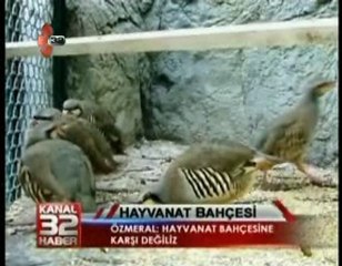 Özmeral: Hayvanat Bahçesine Karşı Değiliz