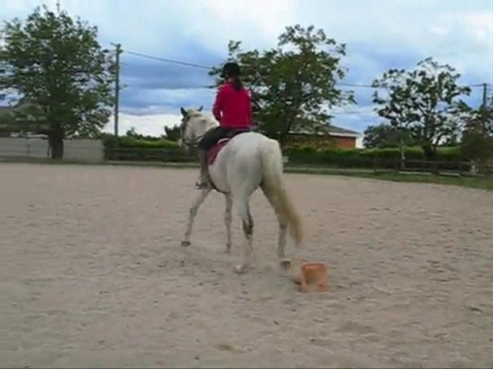 KAMOK
