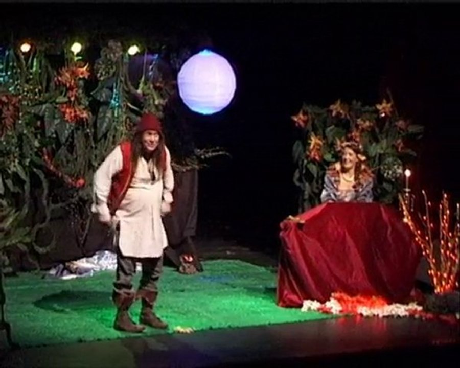 Spectacle pour enfants "La fée Katellig"  Le rêve de visant
