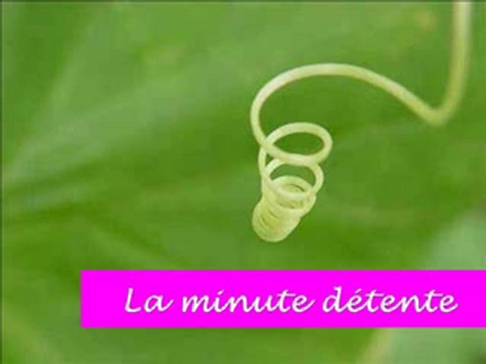 La minute détente - tensions-détentes