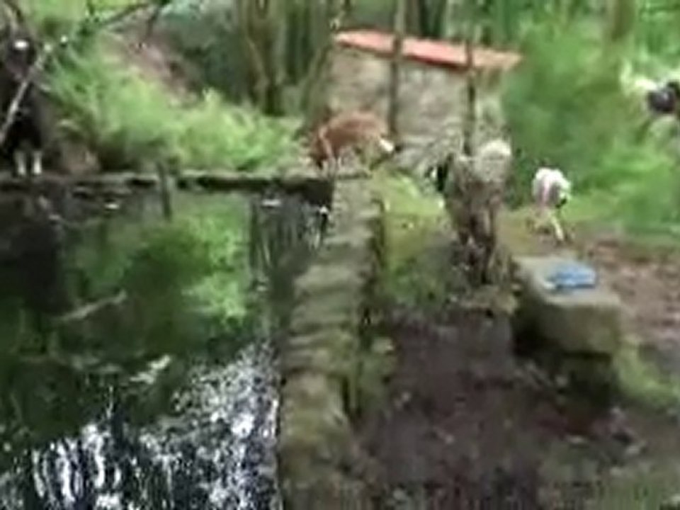 20100529154544