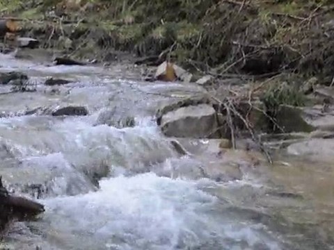 Słowackie smardzobranie 1-4 maja 2010