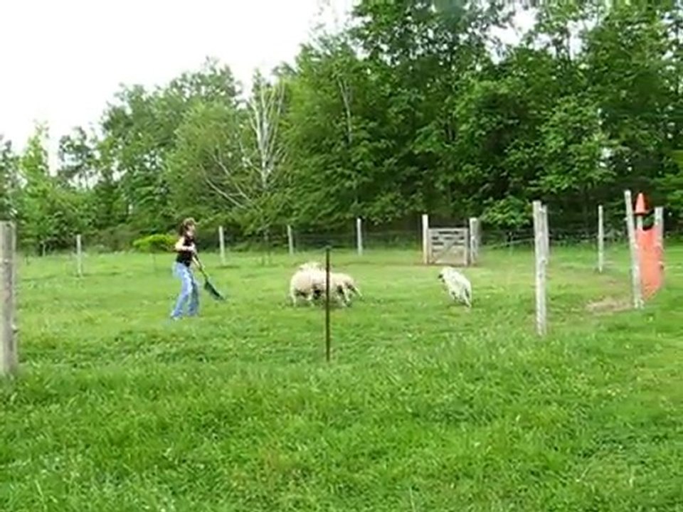 Herding, mai 2010