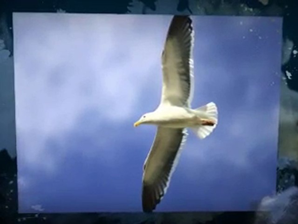 How to Sell a House for Cash Plainville Bristol