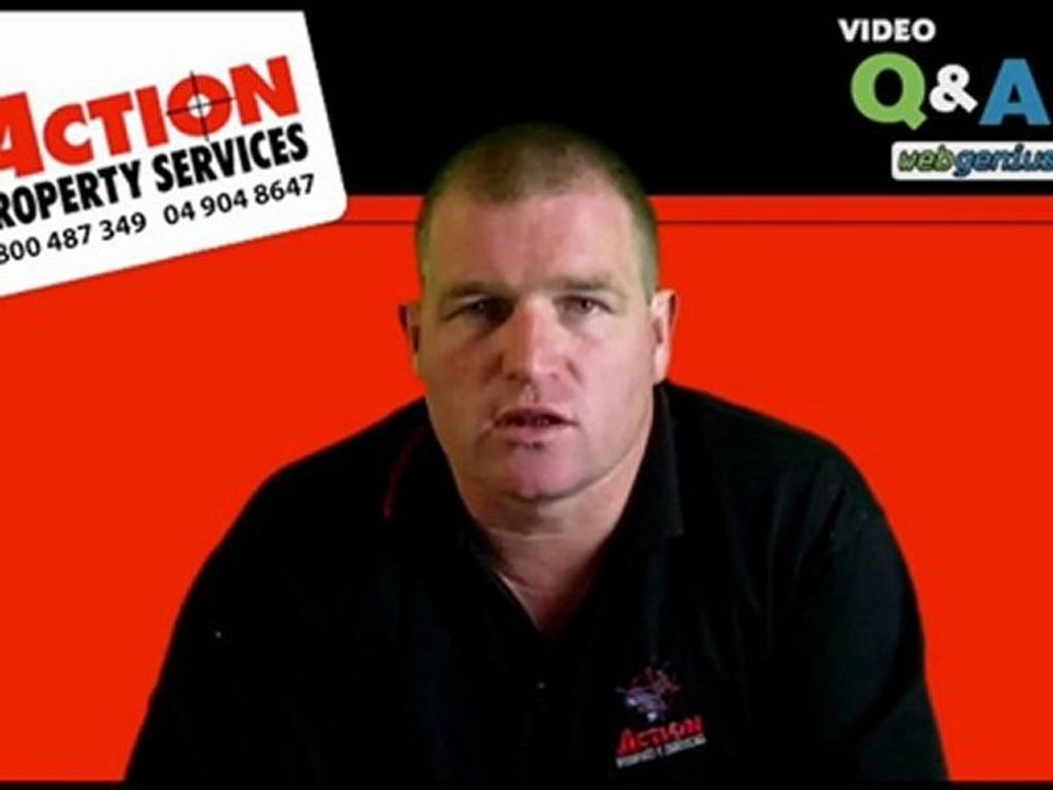 Ant control Wellington Kapiti Coast - Get rid of ants, Kill