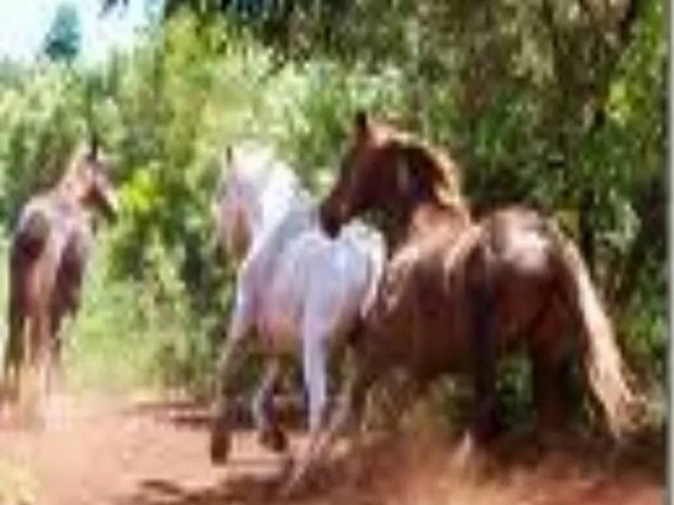 Maui Activities and Tours & Maui Activities