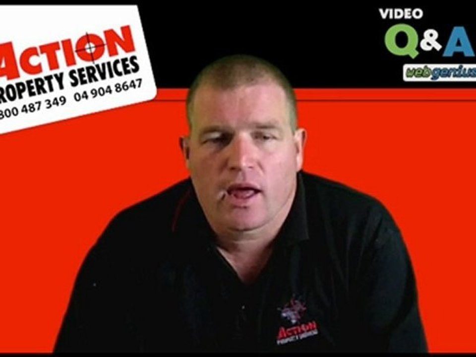 Ant control Wellington Kapiti Coast - Get rid of ants, Kill