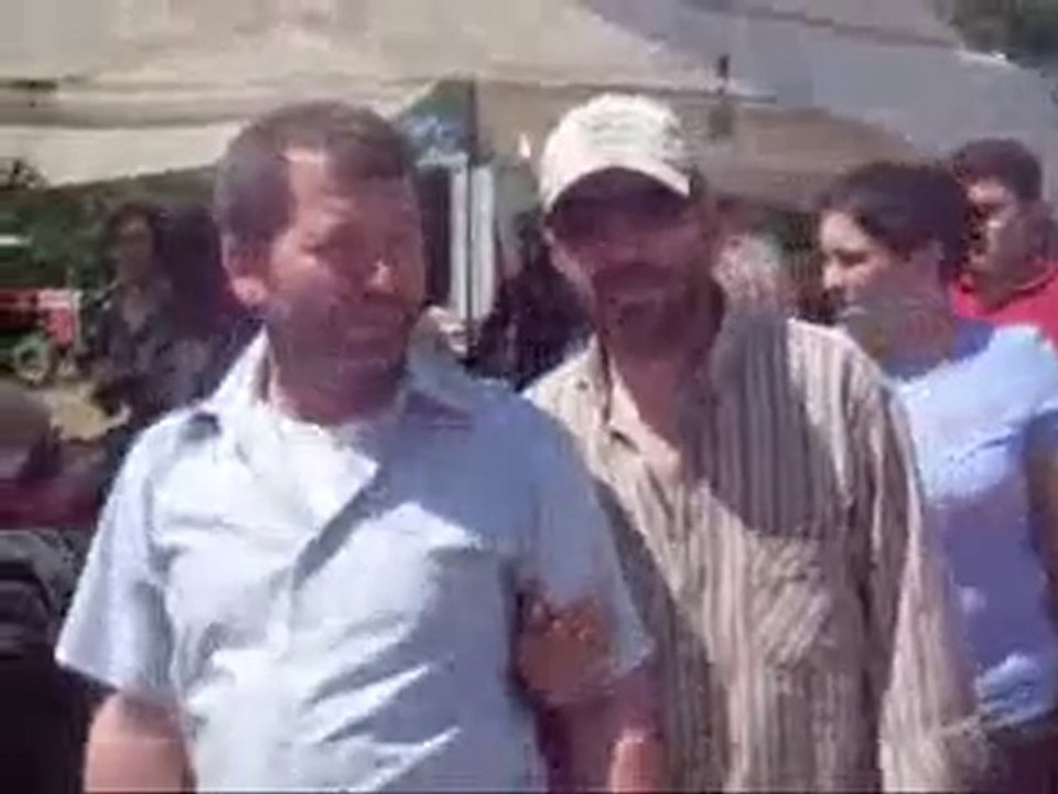 dallık2010