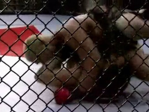 Science du combat - Ultimate fighting - Part 3