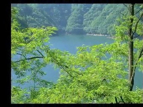 BGM付きスライドショー作成サービス　サンプル：Coquetry