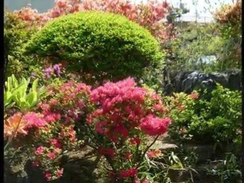 BGM付きスライドショー作成サービス　サンプル　Canon