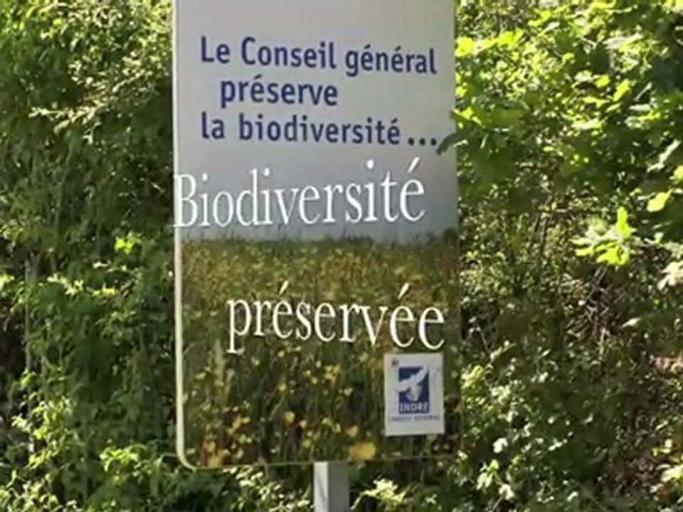 La biodiversité sur les bords des routes en Indre-36