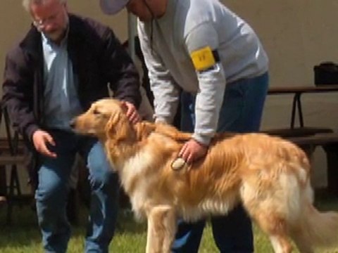 NE 2010 Mont Près Chambord