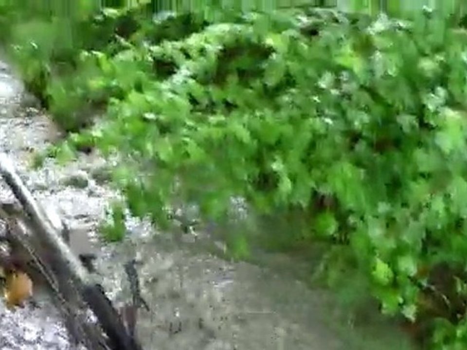 Ruisseau 19 rue du stade 31/05/10