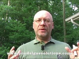 Testing Your Pond Water