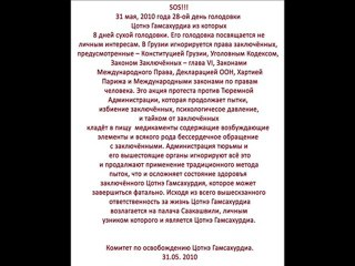 Комитет по освобождению Цотнэ Гамсахурдиа 31.05. 2010