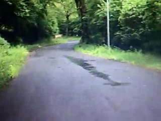 Rallye St Geniez 2010 Bardin Cyril Sauce Gregory ES5