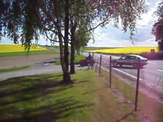 Tracteur tondeuse stories...