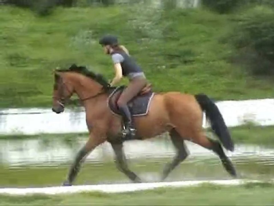 cross miribel 2 juin