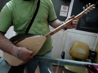 FİLOTALI CEVİZ KISA SAP BAĞLAMA