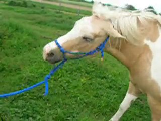 Travail avec Kiss Me , séance du 02.06.10