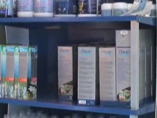 Water Features Capalaba Aquatic Oasis Qld