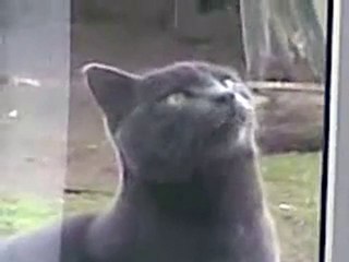 Саня, открой.