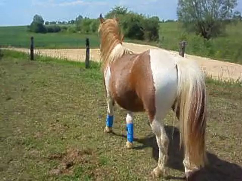 Sun 2 juin 2010 (2)