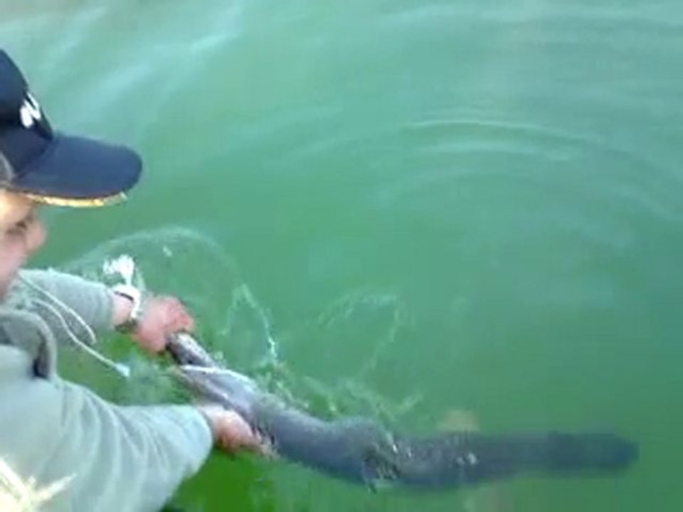 brochet 1,05m remis a l'eau