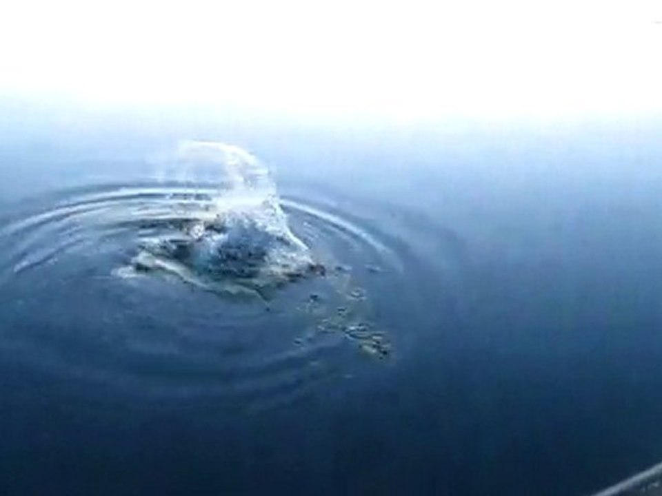 SUDAK AVIMIZ  03.06.2010 002