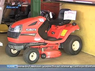Vente aux enchères Dromson Alsace (2/2)