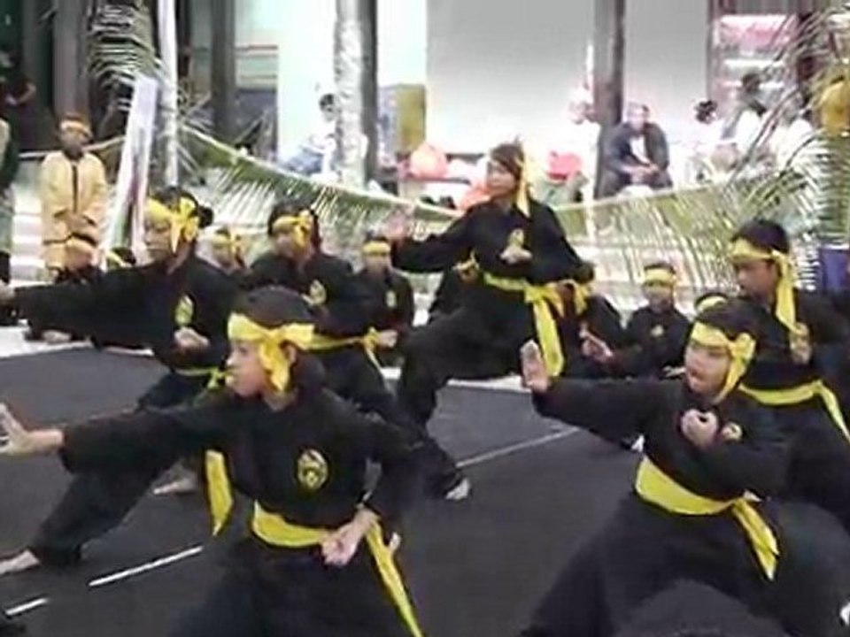 Demonstration de Silat Traditionnel