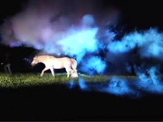 Neon Indian - Making-Of "Sleep Paralysist" Video (Short Vers