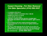 Allen tx carpet cleaning pet odor removal water extraction A