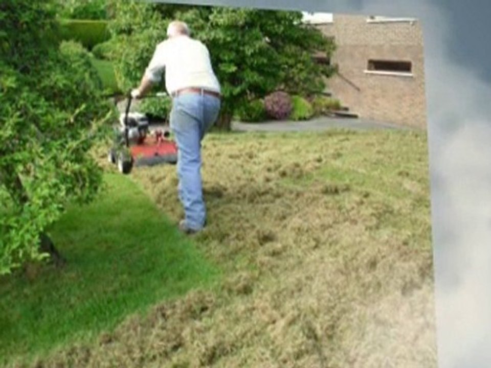 Garden Services Dungannon