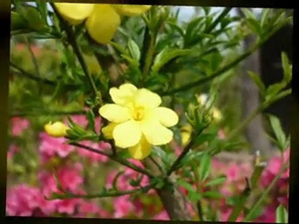 BGM付きスライドショー作成サービス　サンプル