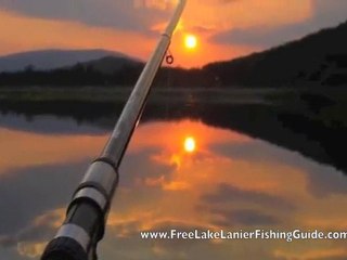 Lake Lanier Fishing Guide: Free Guide To Learn