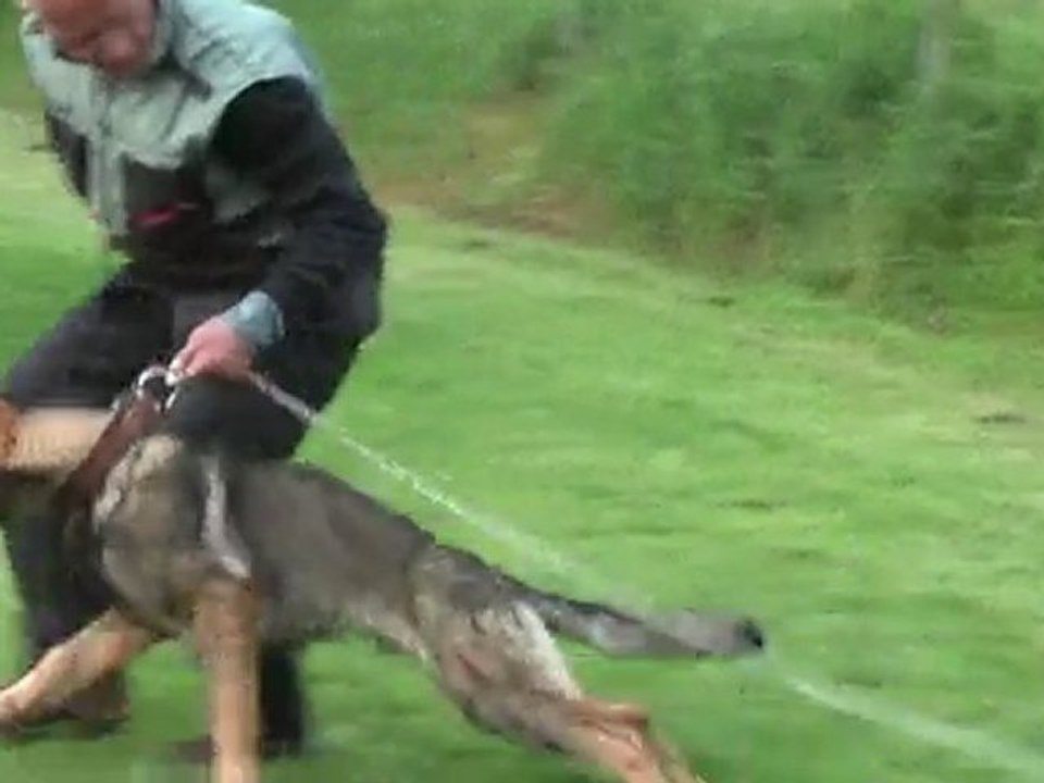 eik des collines du temps : défense avril 2010(1)