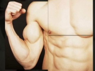 Velvet Deer Antler - Learn more here!