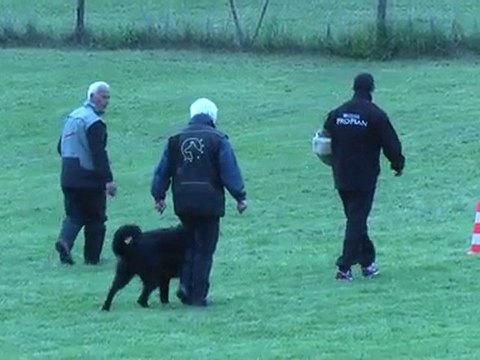 bawl des orckis de l'adret : defense mai 2010