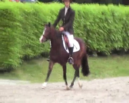 Top Secret Tilia 3 ans montés le Lion d'Angers 29 mai 2010