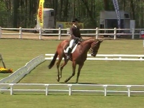 matelot du grand val - jean teulère dressage CCI Saumur
