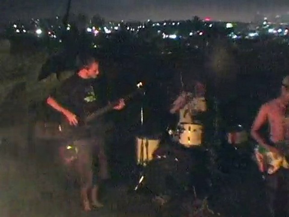 A Bear At A Hollywood House Party